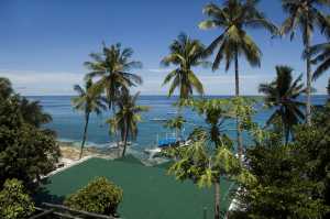 Apo Island