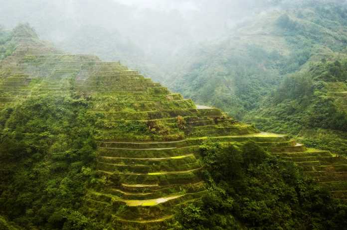 Banaue Rice Terraces