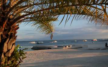 Cebu – provinsen med något för alla Cebu - Mactan