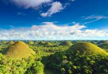 Bohol – chokladkullar, dykparadis, familjevänligt, spökapor Chocolate Hills