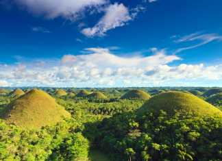 Bohol – chokladkullar, dykparadis, familjevänligt, spökapor Chocolate Hills