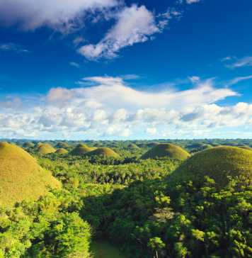 Bohol – chokladkullar, dykparadis, familjevänligt, spökapor Chocolate Hills