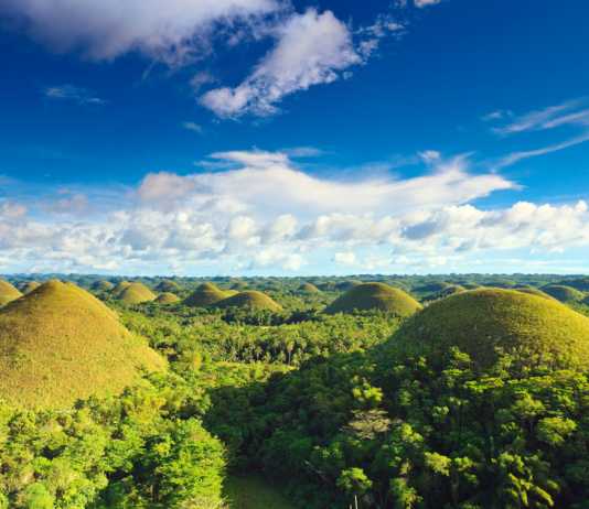 Bohol – chokladkullar, dykparadis, familjevänligt, spökapor Chocolate Hills