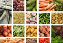 24 smaskiga filippinska maträtter du inte får missa! Food