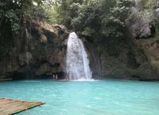 Kawasan Falls – simma i turkost vatten Kawasan Falls
